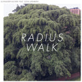 the album cover for Schneider Kacirek - Radius Walk