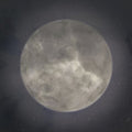 the album cover for Electric Sewer Age - Moon's Milk In Final Phase