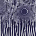 the album cover for Sunn O))) - Grimm Robe Demos