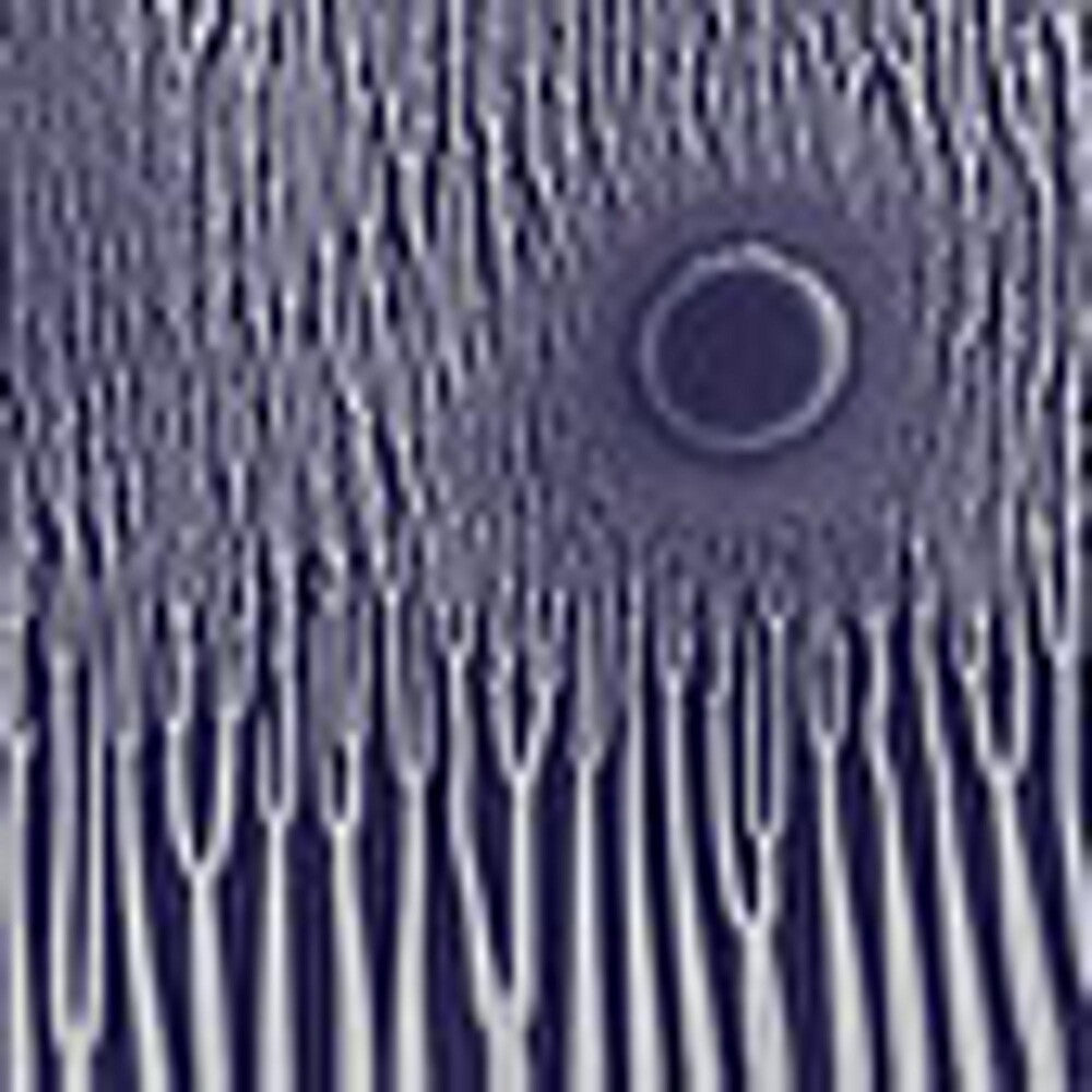 the album cover for Sunn O))) - Grimm Robe Demos