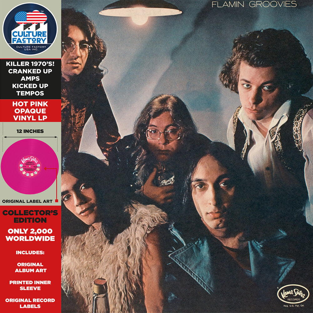 the album cover for Flamin Groovies - Flamingo