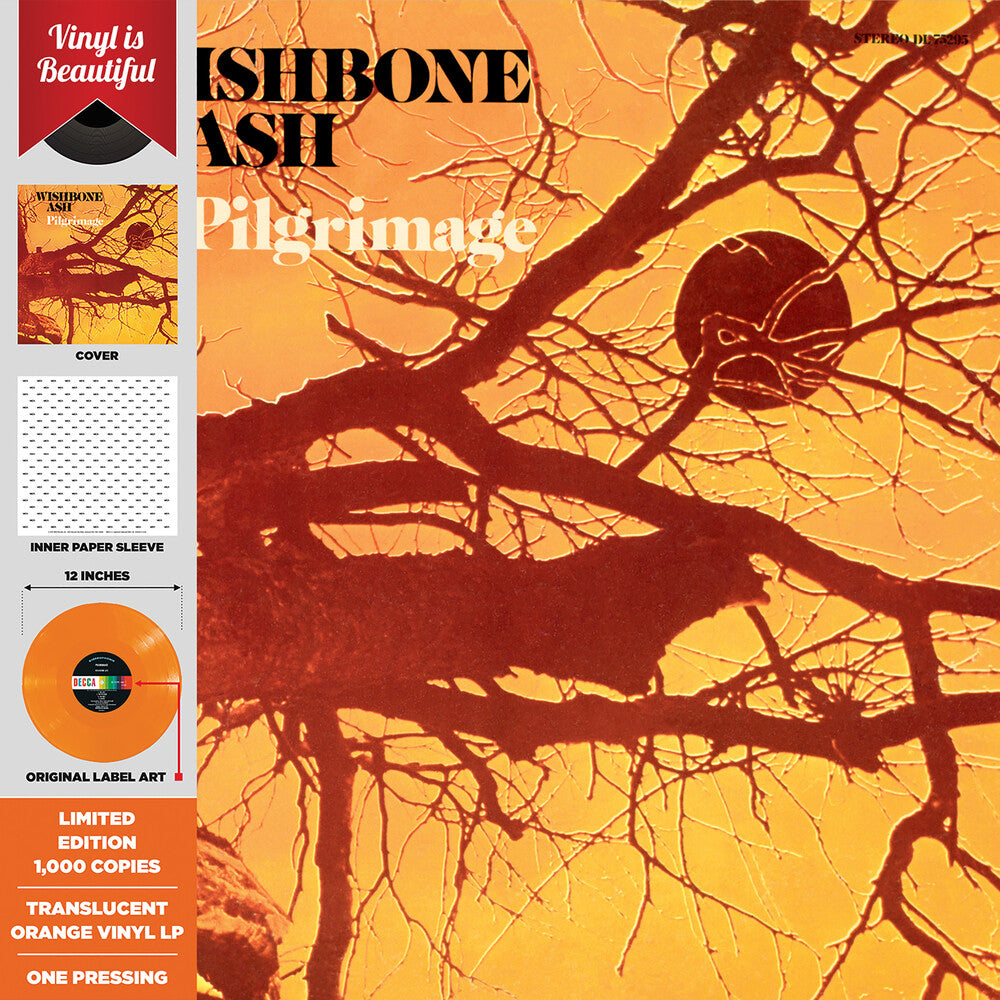 the album cover for Wishbone Ash - Pilgrimage (Indie Exclusive) (Gate) (Org) [Record Store Day]