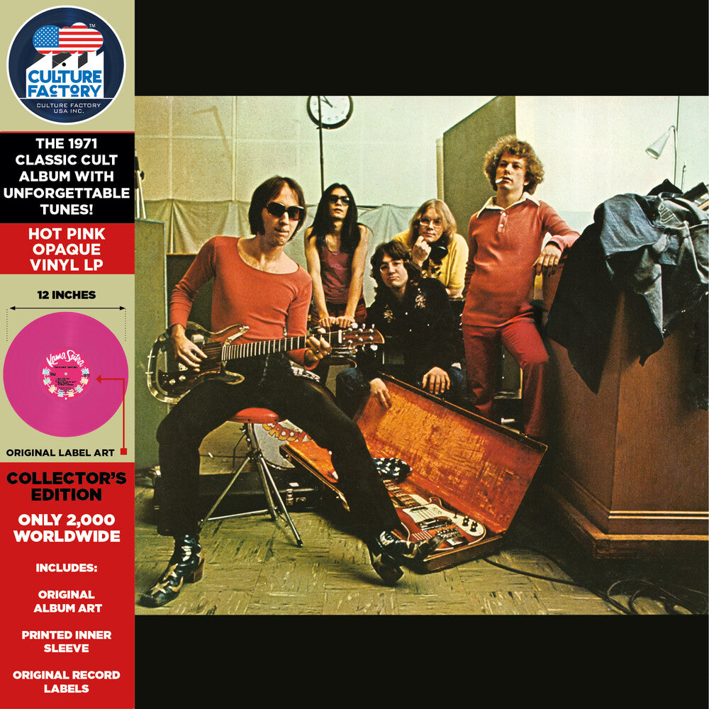 the album cover for Flamin Groovies - Teenage Head (Indie Exclusive) (Gate) (Pnk) [Record Store Day]