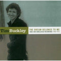 the album cover for Tim Buckley - The Dream Belongs To Me: Rarities and Unreleased recordings 1968-1973