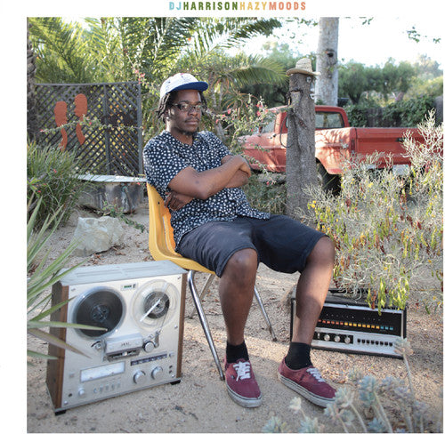 the album cover for DJ Harrison - Hazymoods