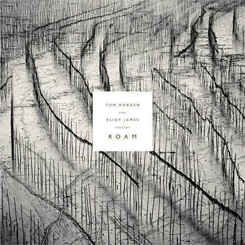 the album cover for Tom Hobden / James,Eliot - Present: Roam [180 Gram] [Download Included]