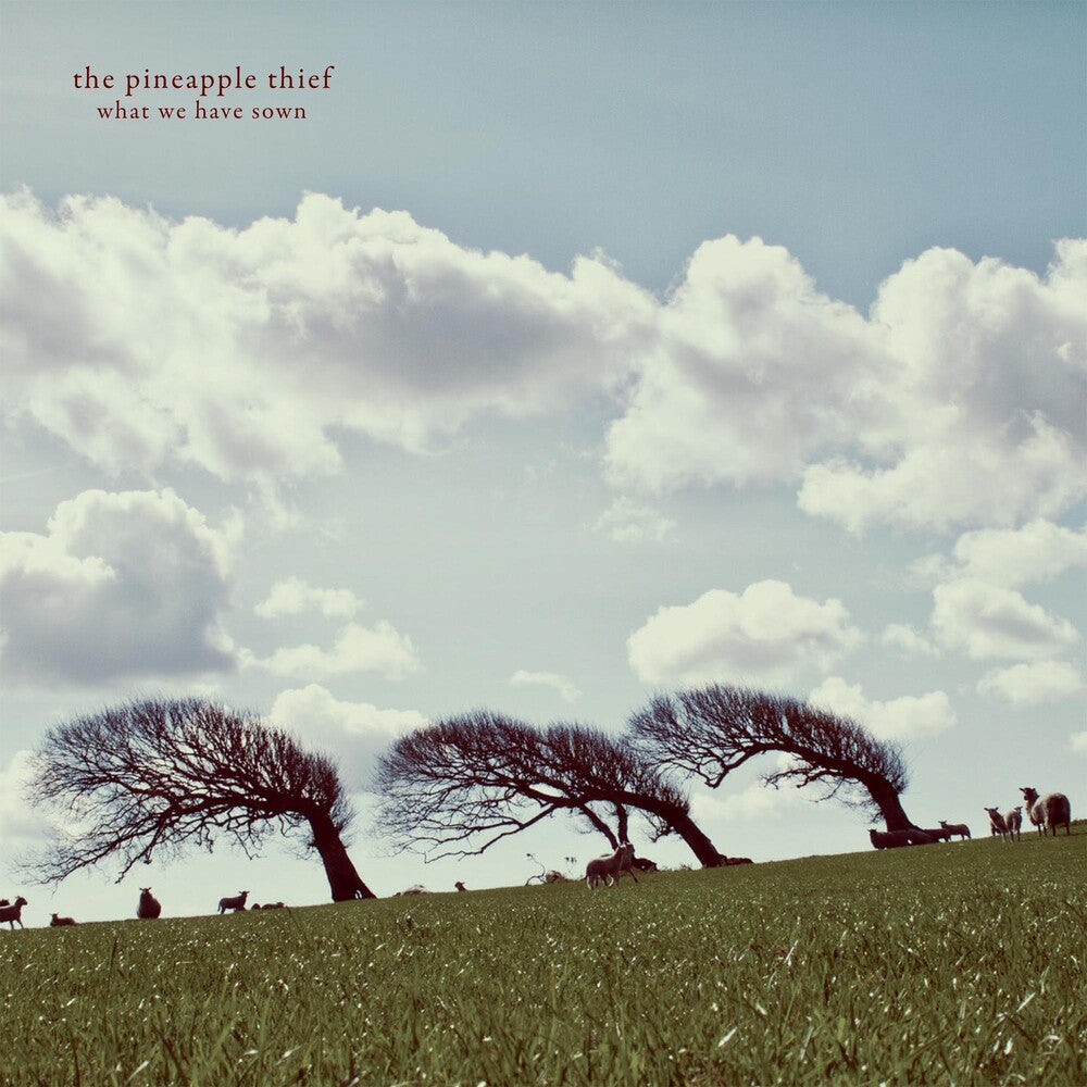 the album cover for The Pineapple Thief - What We Have Sown
