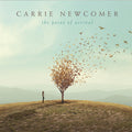 the album cover for Carrie Newcomer - Point Of Arrival