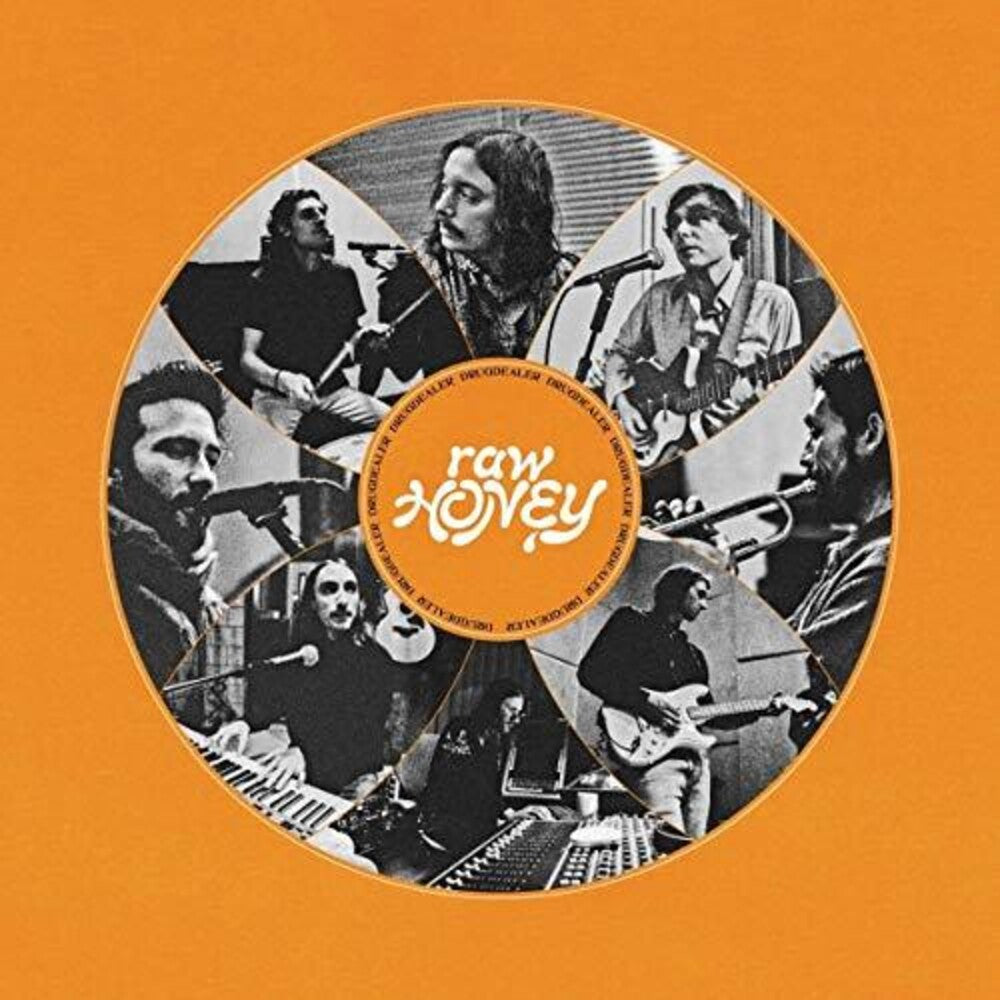 the album cover for Drugdealer - Raw Honey [LP]