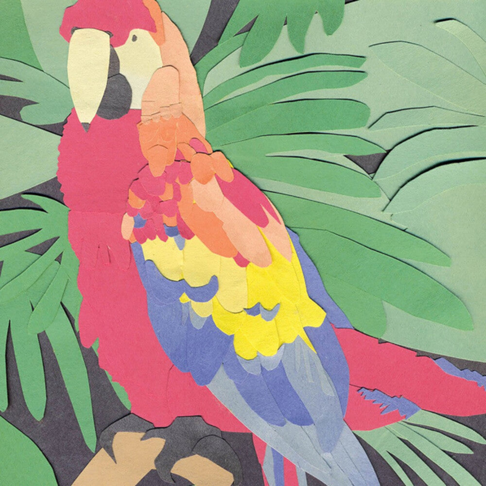 the album cover for Algernon Cadwallader - Parrot Flies