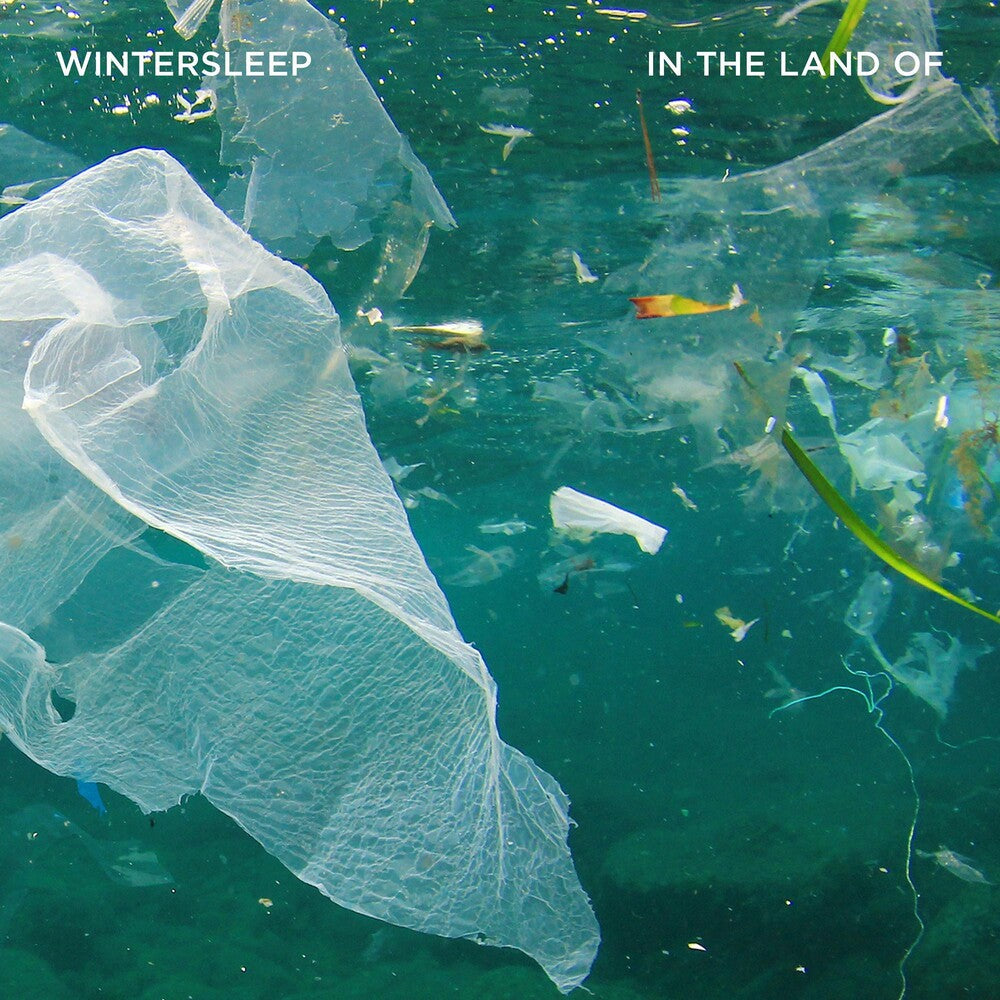the album cover for Wintersleep - In The Land Of