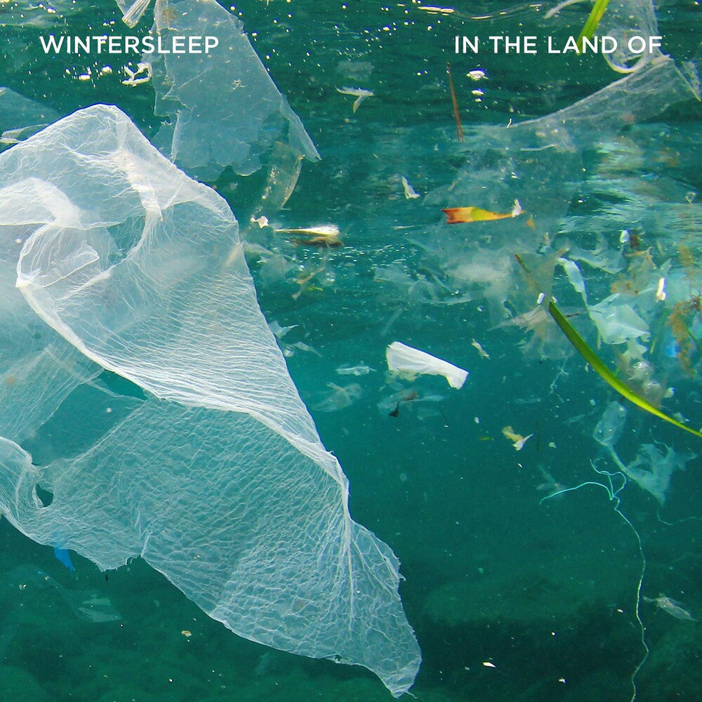 the album cover for Wintersleep - In The Land Of