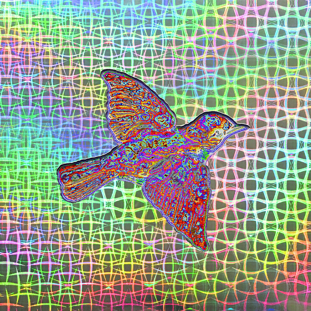 the album cover for Widespread Panic - Til The Medicine Takes [2LP 3D Lenticular Cover Box Set]
