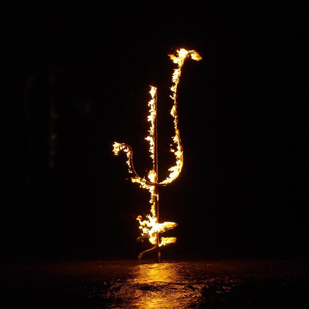 the album cover for Demon Head - Hellfire Ocean Void