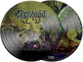 the album cover for Skeletonwitch - Forever Abomination