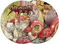 the album cover for Skeletonwitch - Serpents Unleashed