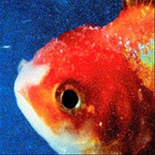 the album cover for Vince Staples - Big Fish Theory