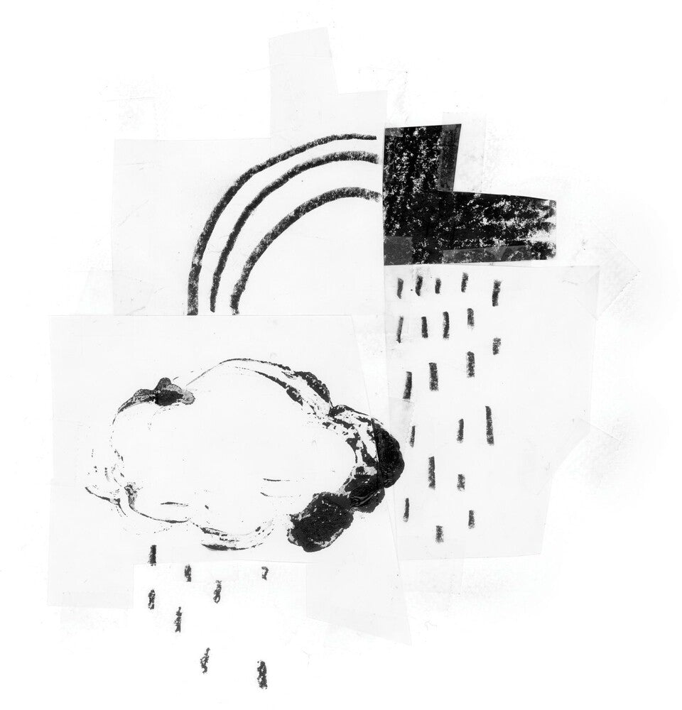 the album cover for Damien Jurado - In The Shape Of A Storm [Indie Exclusive Limited Edition Aspen Bark LP]