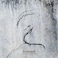 the album cover for Lunatic Soul - Impressions