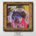 the album cover for James - Justhipper: Complete Sire & Blanco Y Negro Recordings 1986-1988