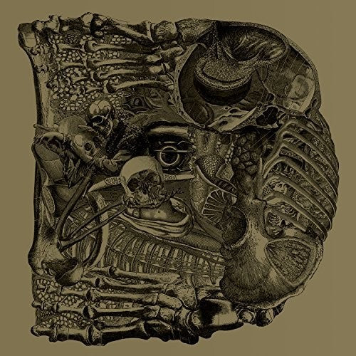 the album cover for Boris - Dear [LP]