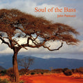 the album cover for John Patitucci - Soul Of The Bass
