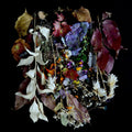 the album cover for Paws - Your Church On Bonfire