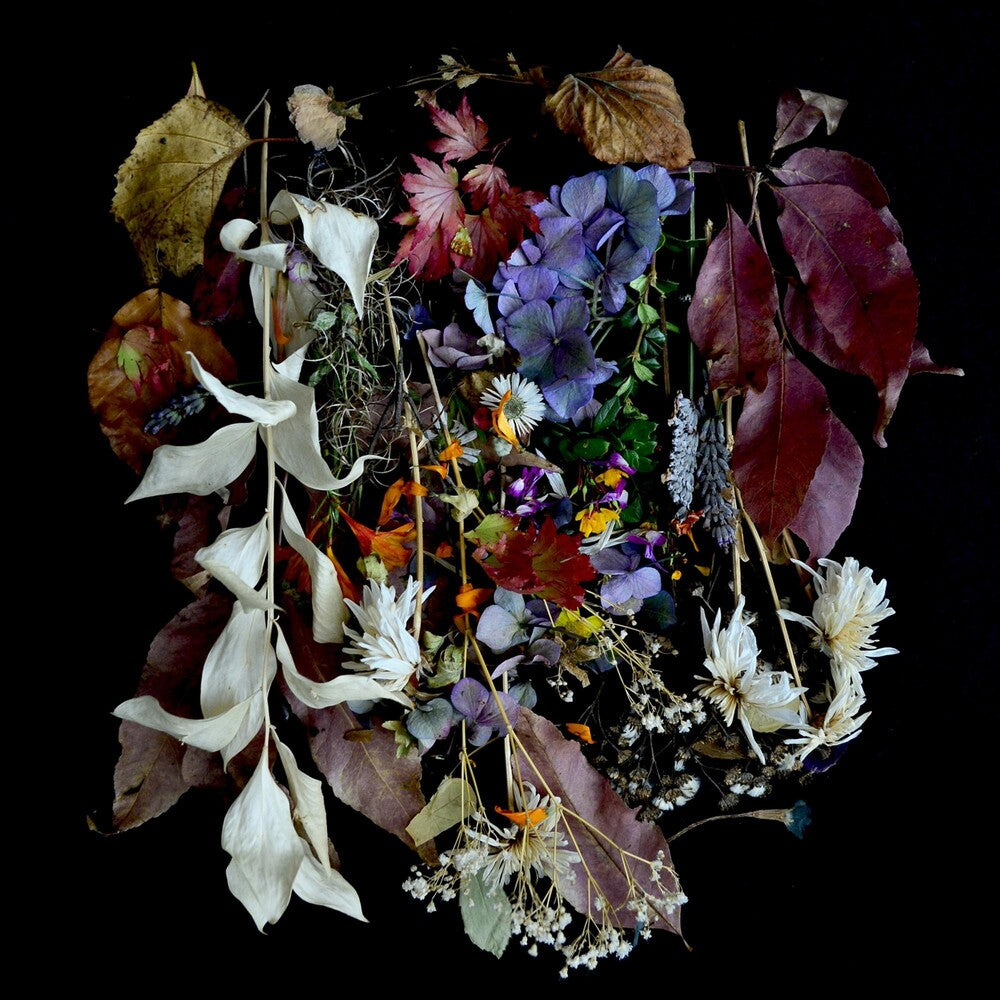 the album cover for Paws - Your Church On Bonfire
