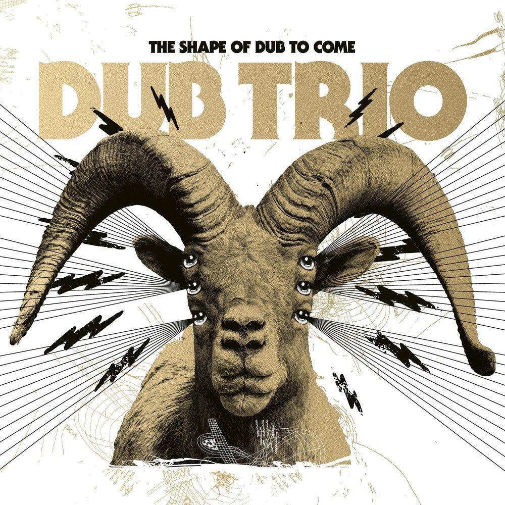 the album cover for Dub Trio - Shape Of Dub To Come