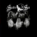 the album cover for Swallow The Sun - Plague Of Butterflies