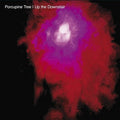 the album cover for Porcupine Tree - Up The Downstair
