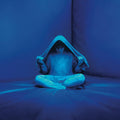 the album cover for Palmistry - Pagan (Blue) [Colored Vinyl] [Download Included]