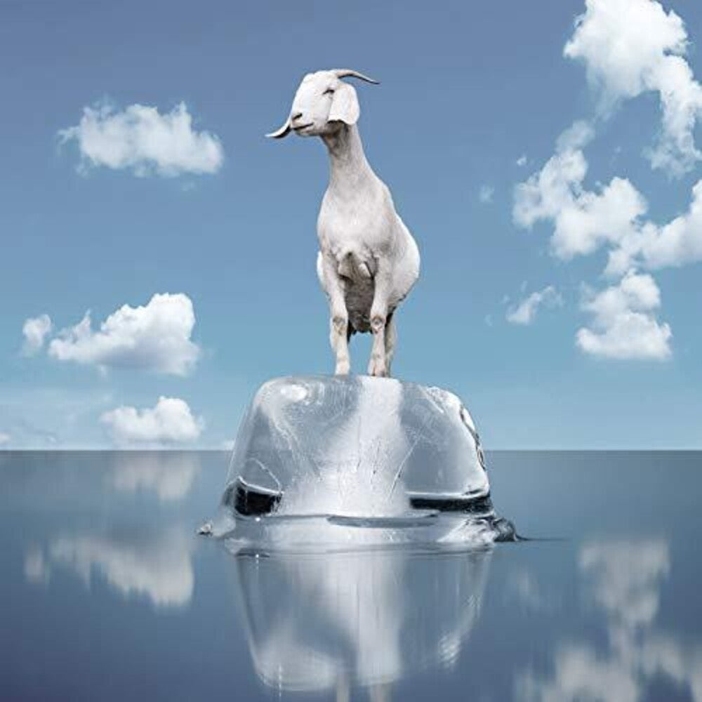the album cover for Perpetual Groove - Perpetual Groove