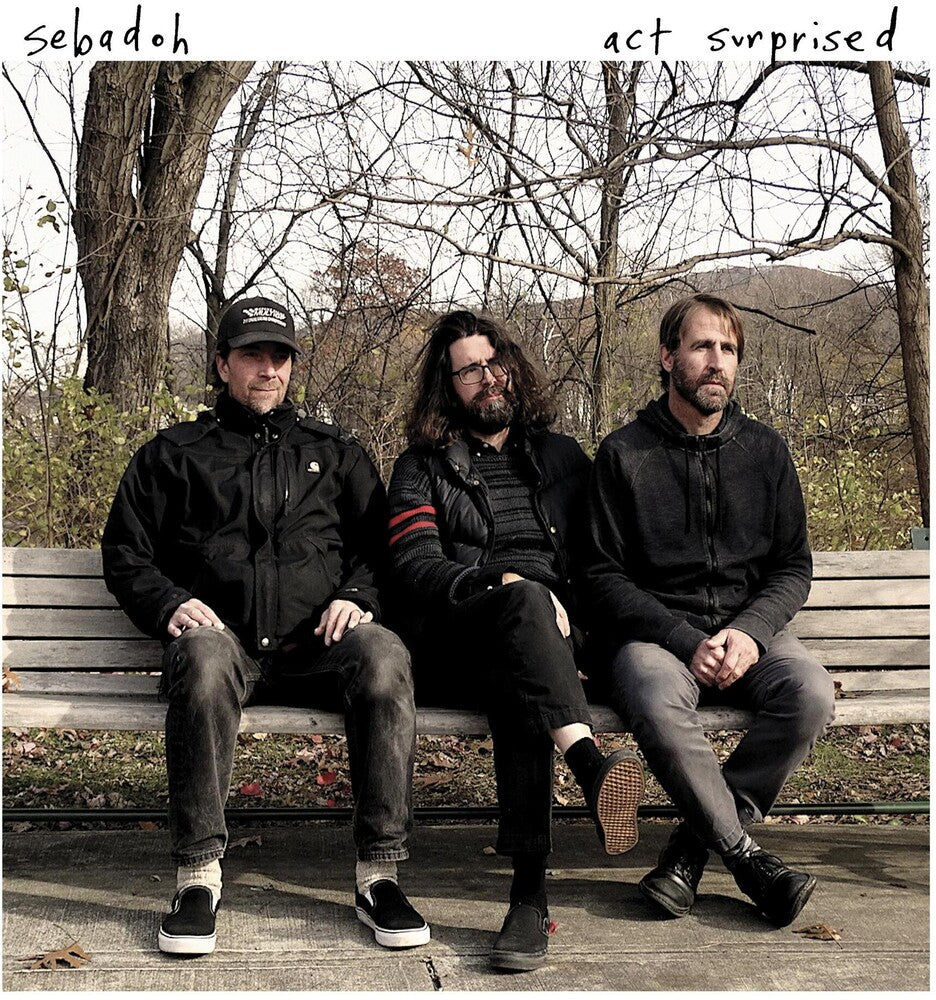 the album cover for Sebadoh - Act Surprised