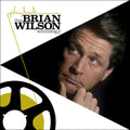the album cover for Brian Wilson - Playback: The Brian Wilson Anthology
