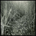 the album cover for Charlie Cunningham - Permanent Way