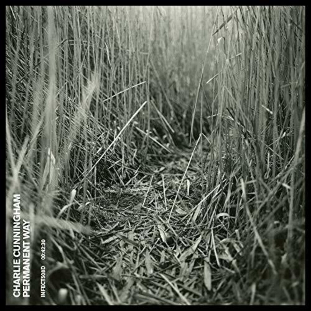the album cover for Charlie Cunningham - Permanent Way