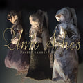 the album cover for Unto Ashes - Pretty Haunted Things [Limited Edition] [Digipak]