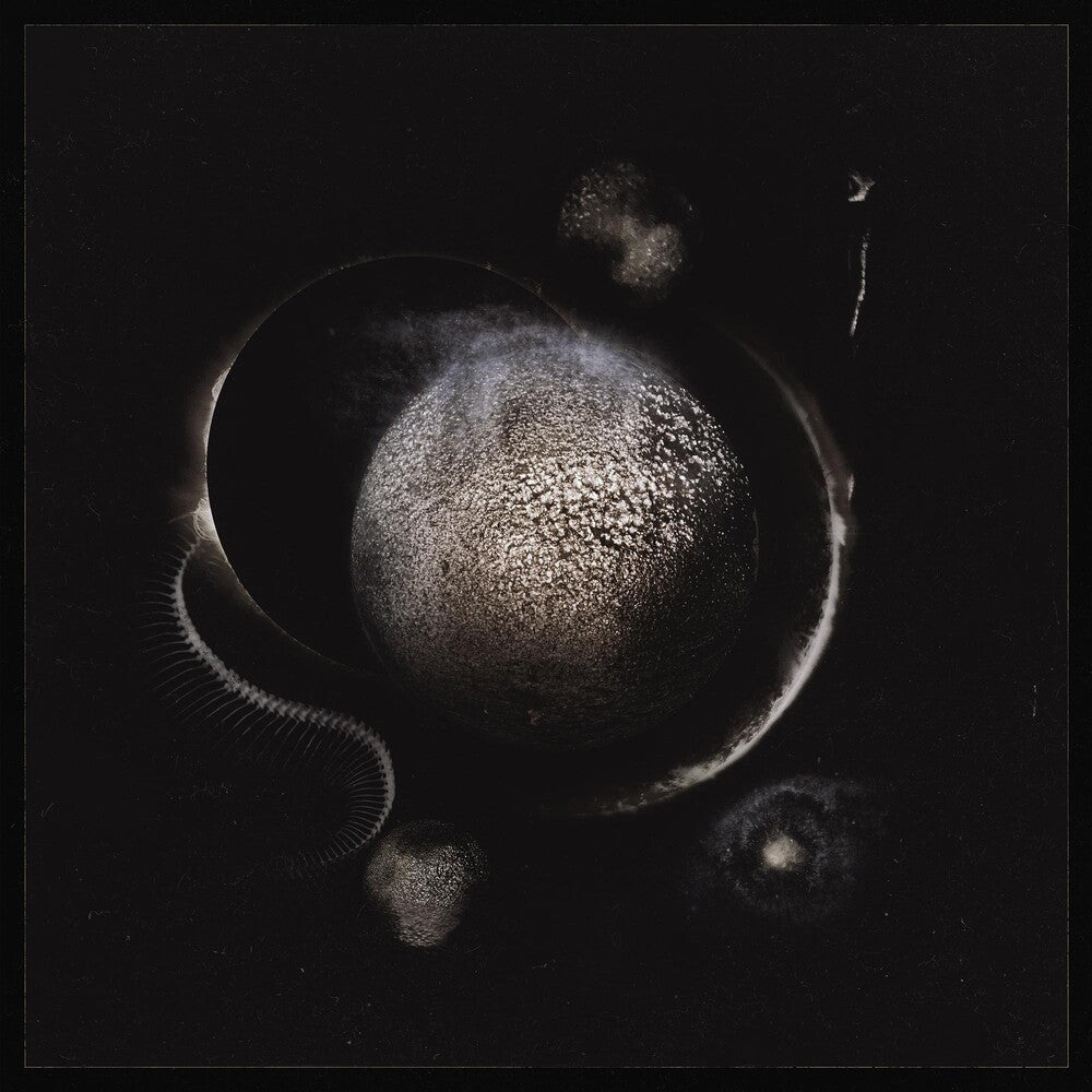 the album cover for Enthroned - Cold Black Suns