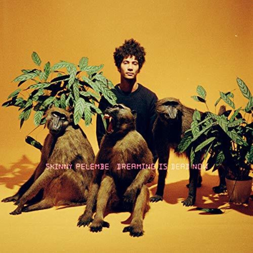 the album cover for Skinny Pelembe - Dreaming Is Dead Now