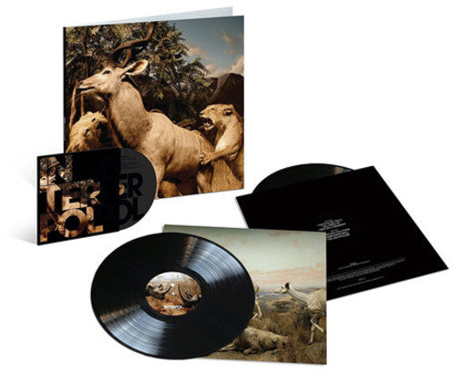 the album cover for Interpol - Our Love To Admire: 10 Year Anniversary Edition [2LP/DVD]