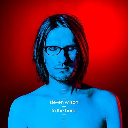the album cover for Steven Wilson - To The Bone