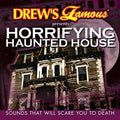 the album cover for Horrifying Haunted House / Various - Horrifying Haunted House (Various Artists)
