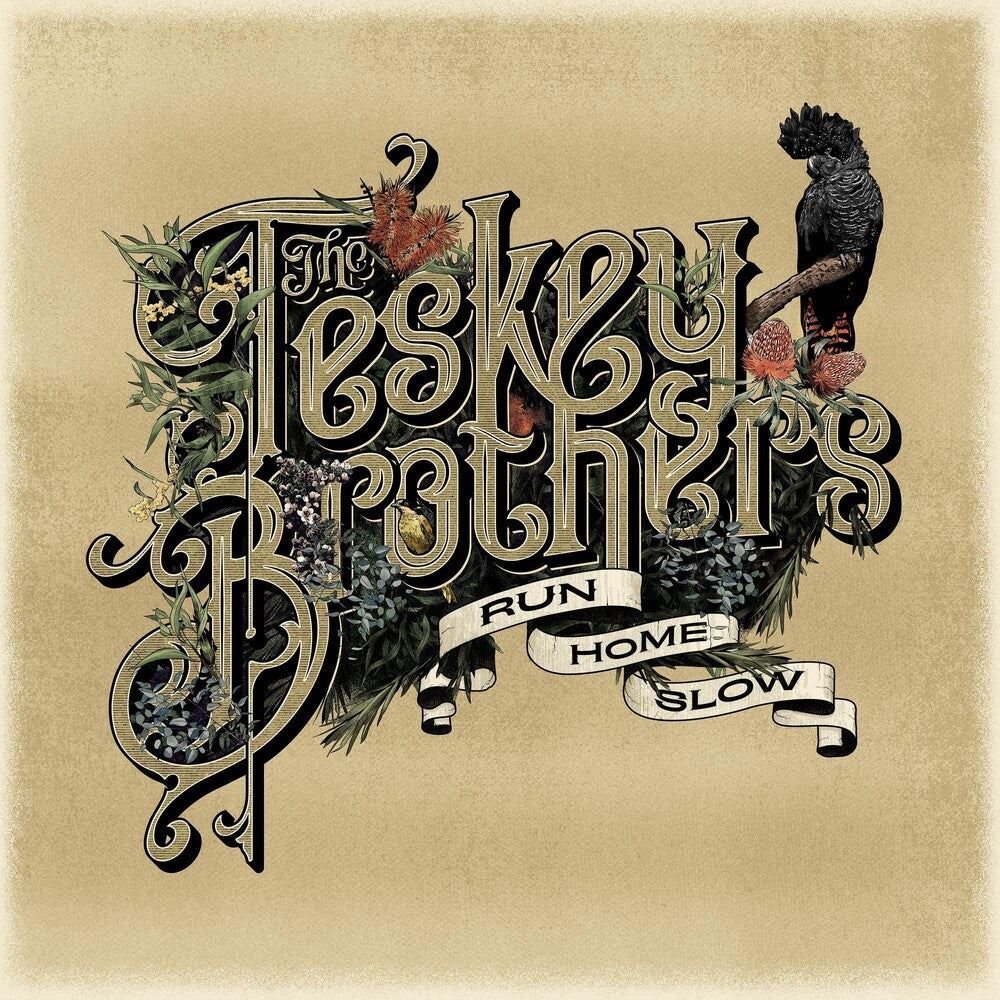 the album cover for The Teskey Brothers - Run Home Slow [LP]