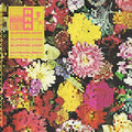 the album cover for Ra Ra Riot - Superbloom [Yellow LP]