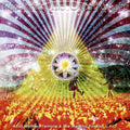 the album cover for Acid Mothers Temple & The Melting Paraiso U.F.O. - Wandering the Outer Space