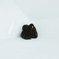 the album cover for Chelsea Wolfe - Hiss Spun [LP]