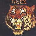 the album cover for Tiger / Big Jim Sullivan - Tiger