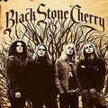 the album cover for Black Stone Cherry - Black Stone Cherry
