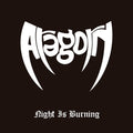 the album cover for Aragorn - Night Is Burning